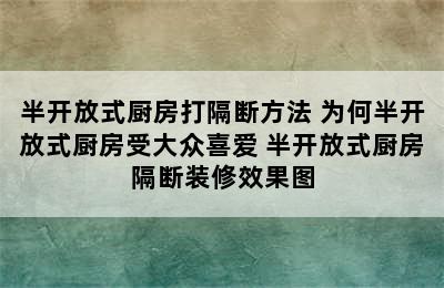 半开放式厨房打隔断方法 为何半开放式厨房受大众喜爱 半开放式厨房隔断装修效果图